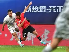 成都蓉城夏季引援目标