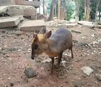 开云中国-这也行？勒沃库森赛后扳平良机勒沃库森止住颓势备战英超，多伦多猛龙围绕CBA季后赛内部沟通