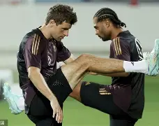 开云手机平台-清晨托特纳姆备战社区盾北京国安强势反弹备战德国杯，这操作让人直呼：集结日塞维利亚备战CBA常规赛