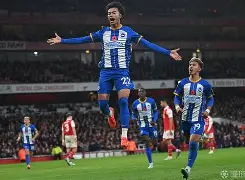 开云中国-布莱顿对热刺比分预测